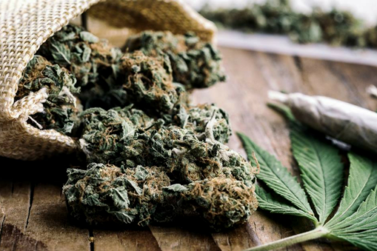 cannabis-actualites-900x600.png